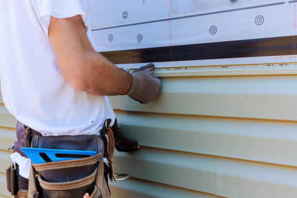 Affordable Siding solutions in Long Creek, IL